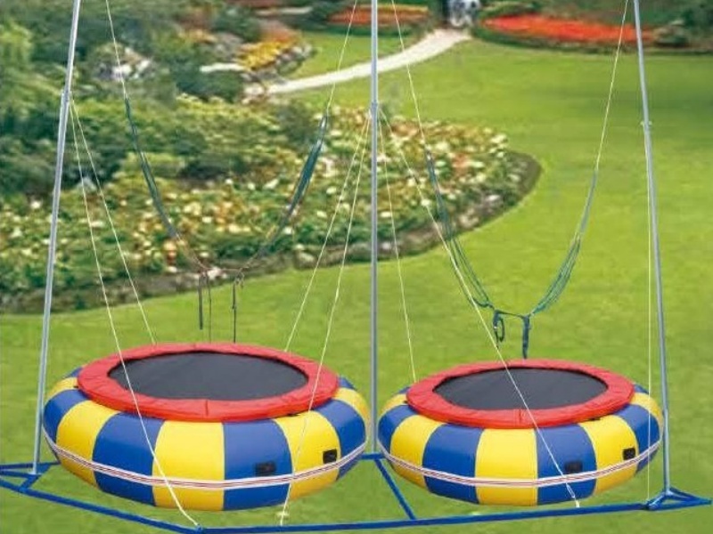 2 persons bungee trampoline