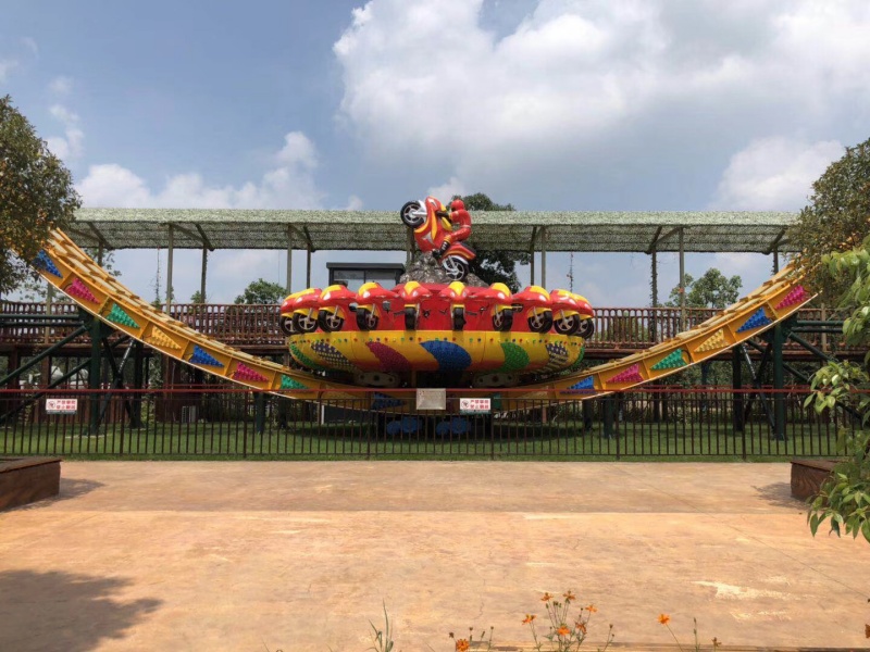 Flying Disk'O Ride