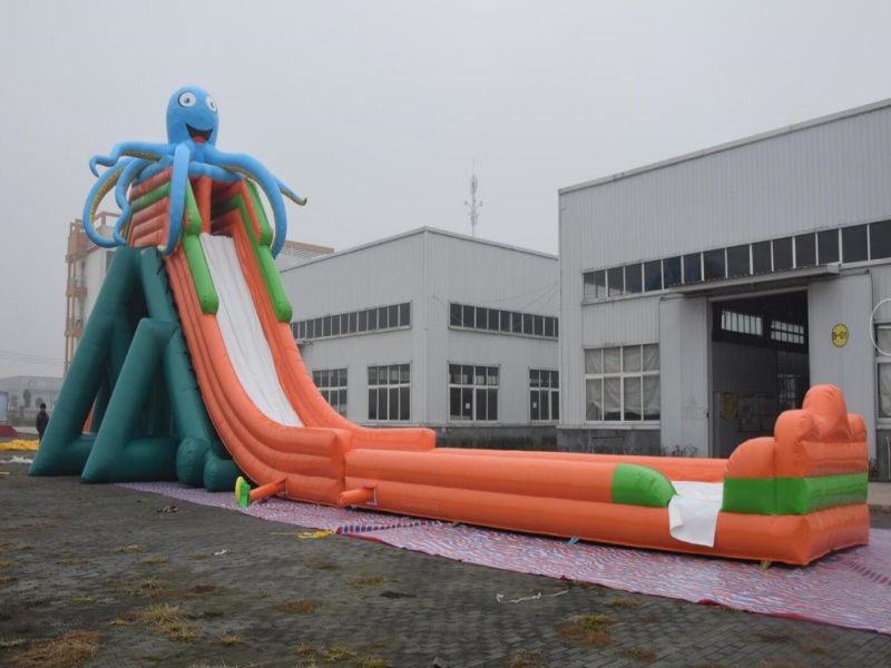 Giant hippo water slide